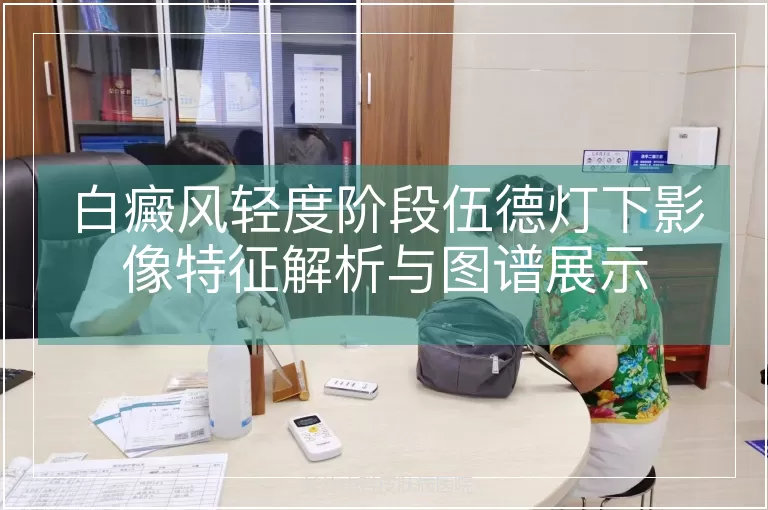 白癜风轻度阶段伍德灯下影像特征解析与图谱展示
