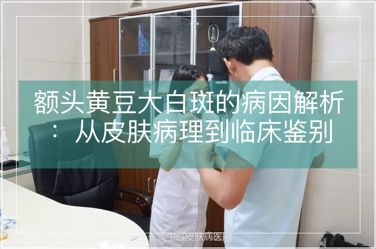 额头黄豆大白斑的病因解析：从皮肤病理到临床鉴别